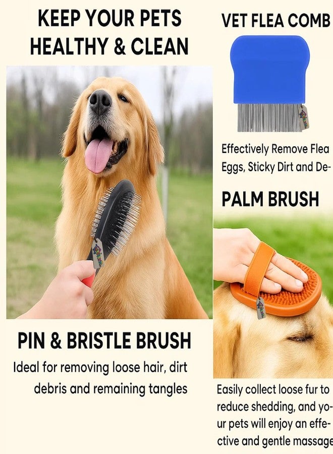 ويستيرن إرا مجموعة العناية بالحيوانات الأليفة 3 في 1 من ويسترن إيرا للكلاب والقطط | فرشاة بمقبض بلاستيكي مزدوج الجوانب | مشط للبراغيث والقراد بحجم راحة اليد، دبابيس معدنية طويلة | تدليك راحة اليد وإزالة الشعر الزائد من المطاط الناعم (عشوائي) (النوع 4) - Image 2